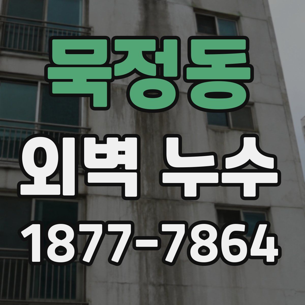 묵정동 외벽 누수