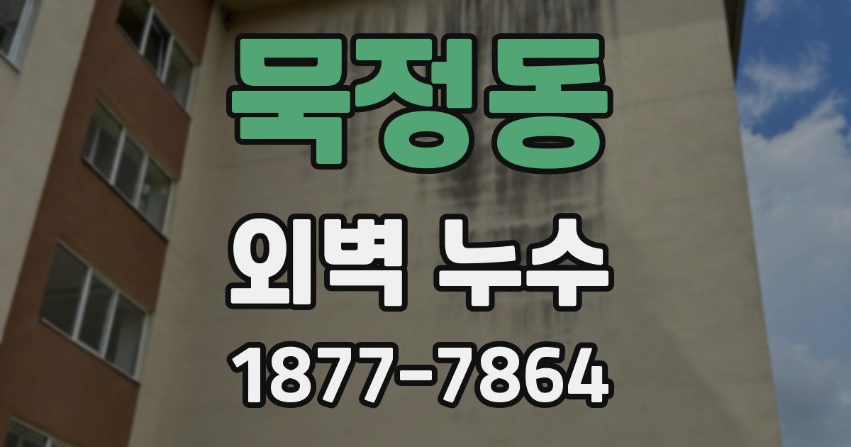 묵정동 외벽 누수