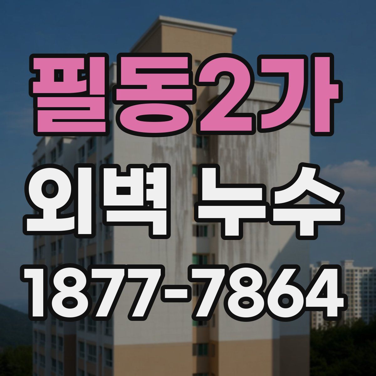 필동2가 외벽 누수