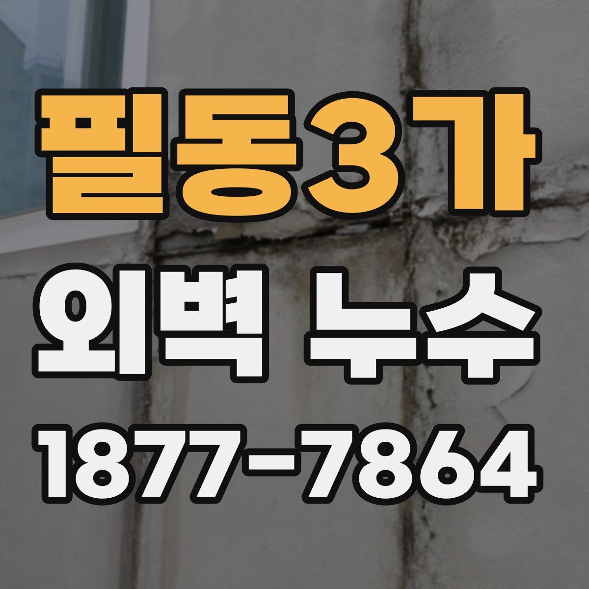필동3가 외벽 누수