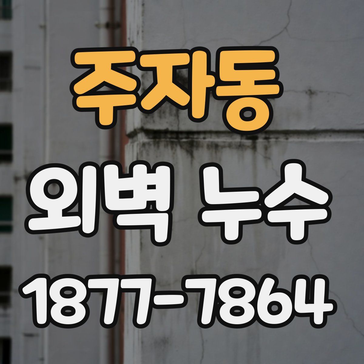 주자동 외벽 누수