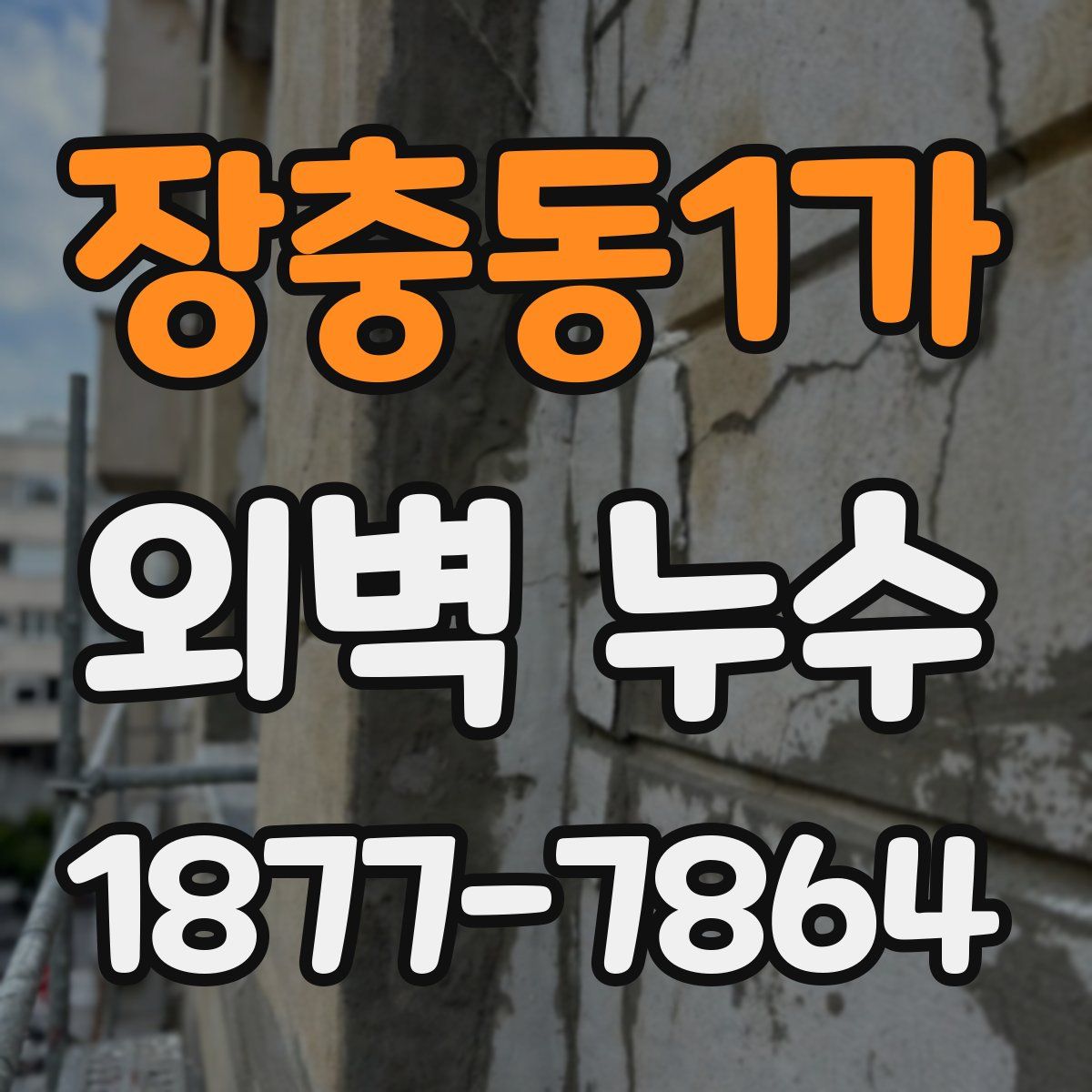 장충동1가 외벽 누수