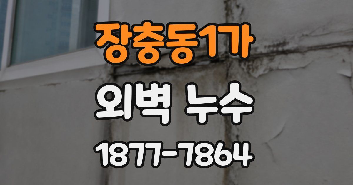 장충동1가 외벽 누수