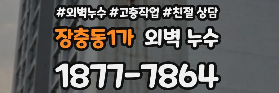 장충동1가 외벽 누수