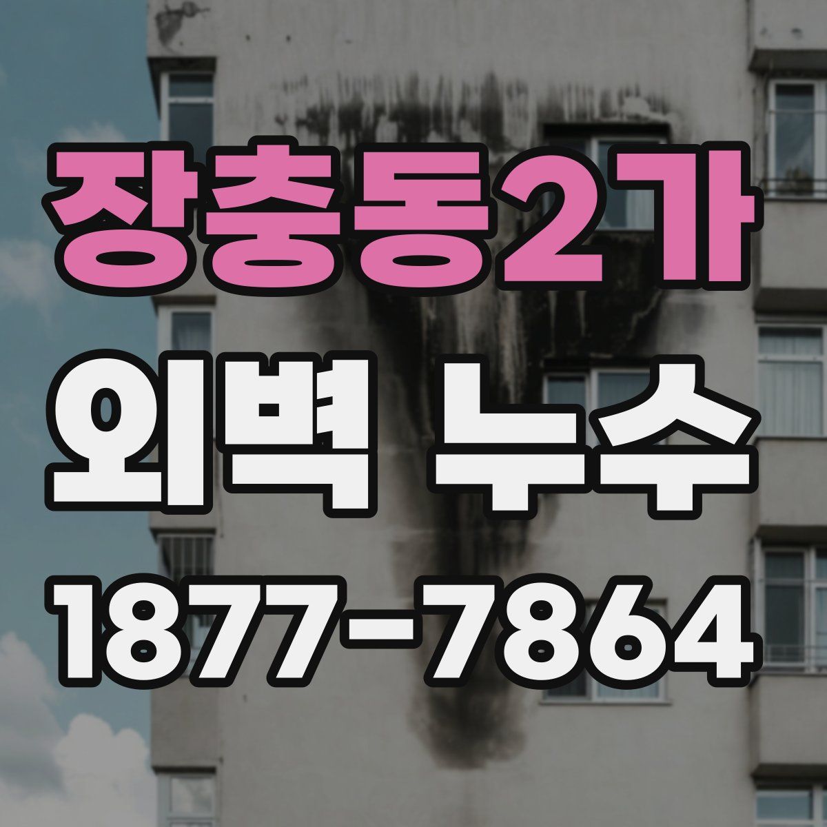 장충동2가 외벽 누수