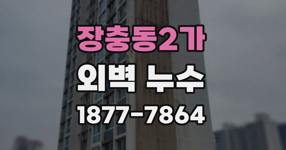 장충동2가 외벽 누수