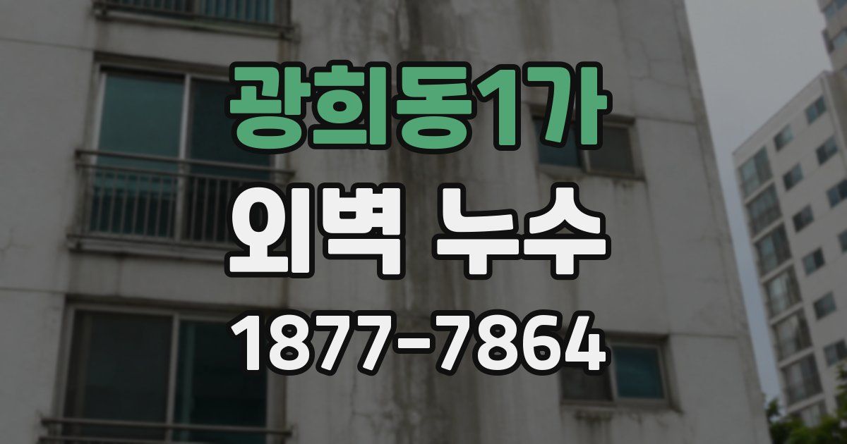 광희동1가 외벽 누수