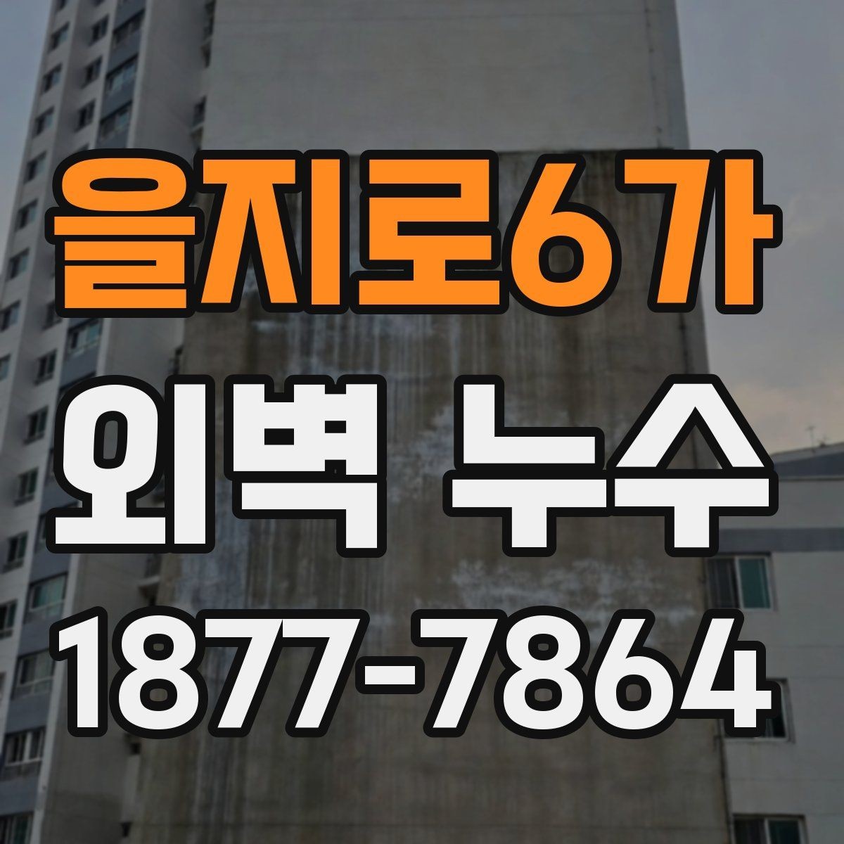 을지로6가 외벽 누수 점검 후 보수 계획 세우는 법