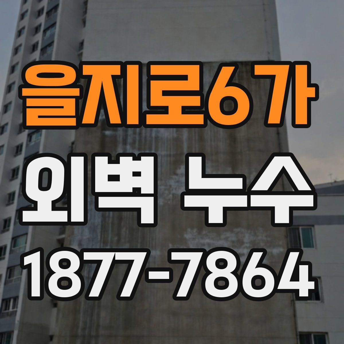 을지로6가 외벽 누수