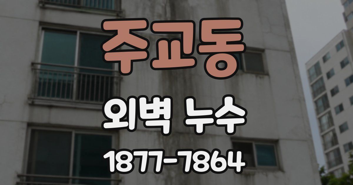 주교동 외벽 누수