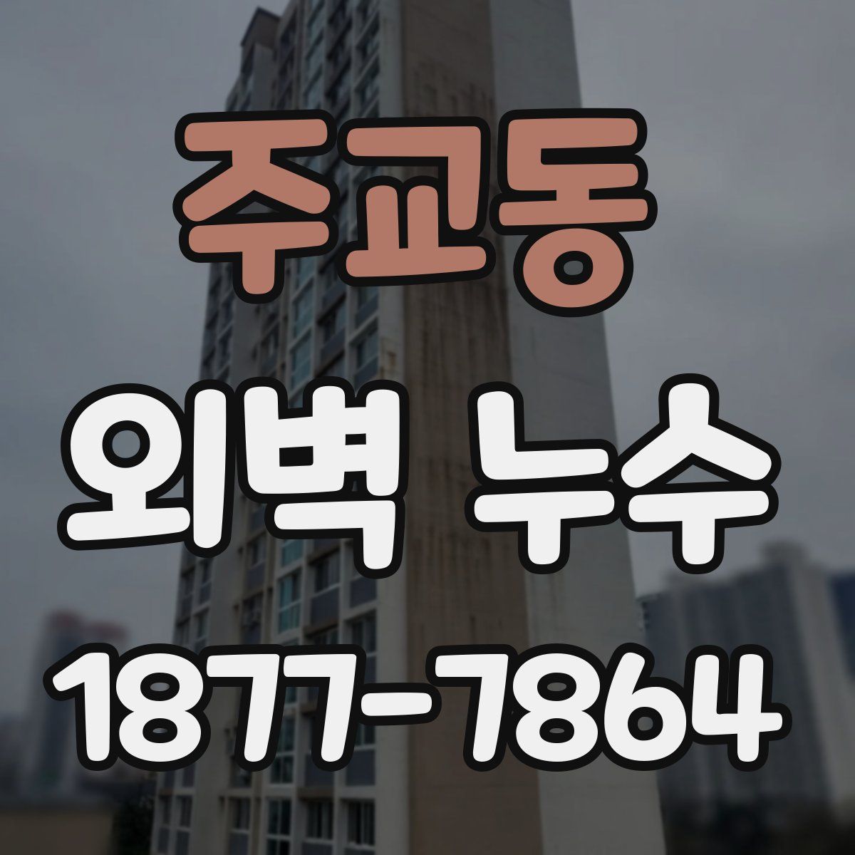 주교동 외벽 누수