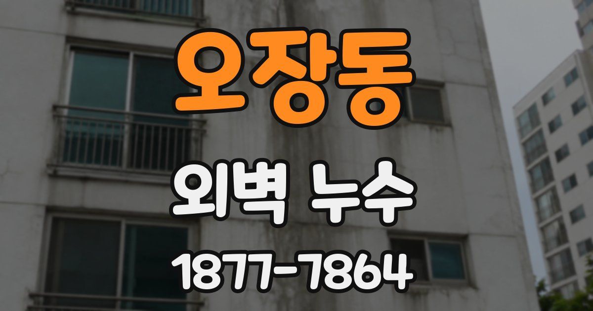 오장동 외벽 누수