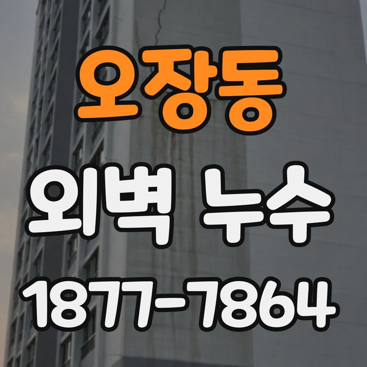 오장동 외벽 누수