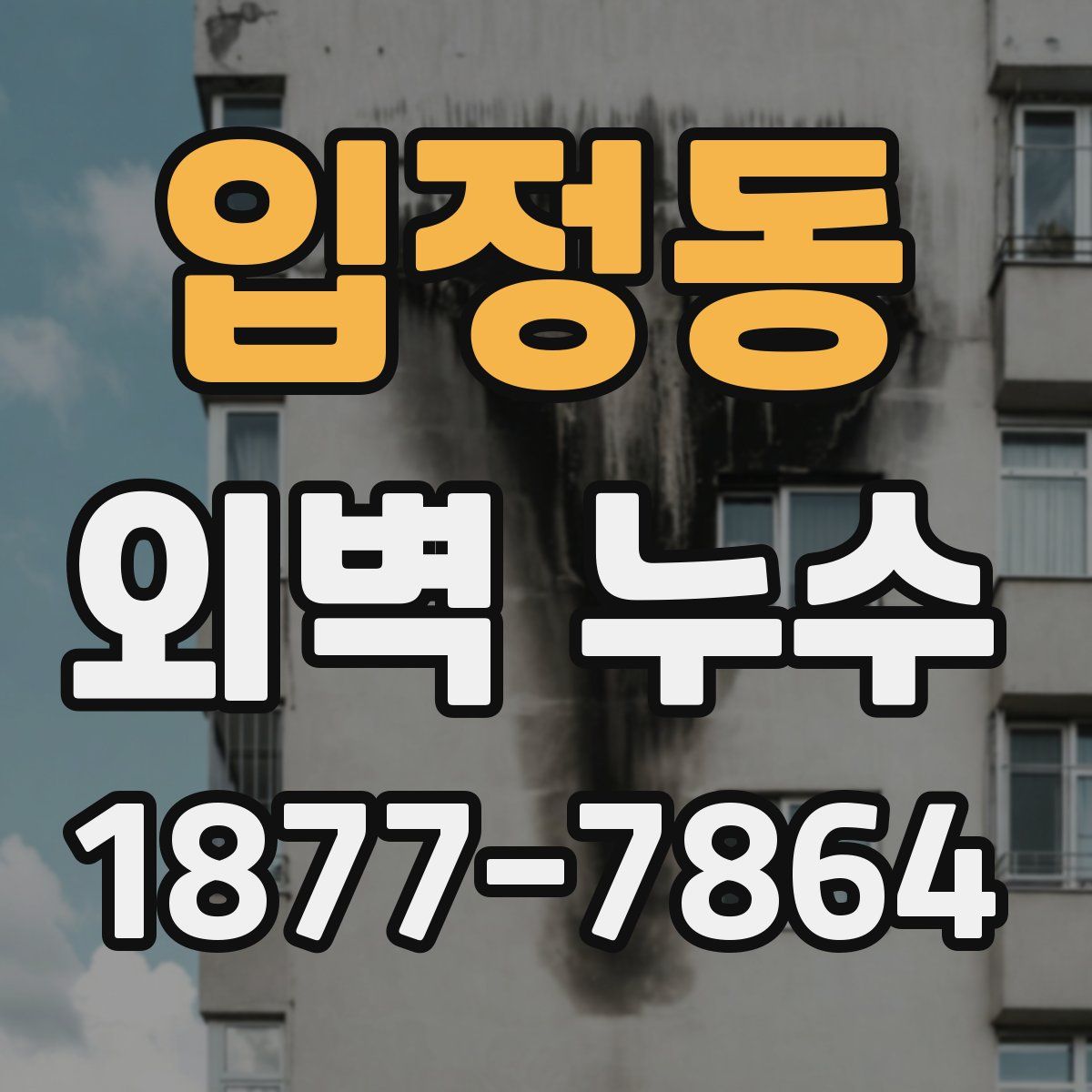 입정동 외벽 누수