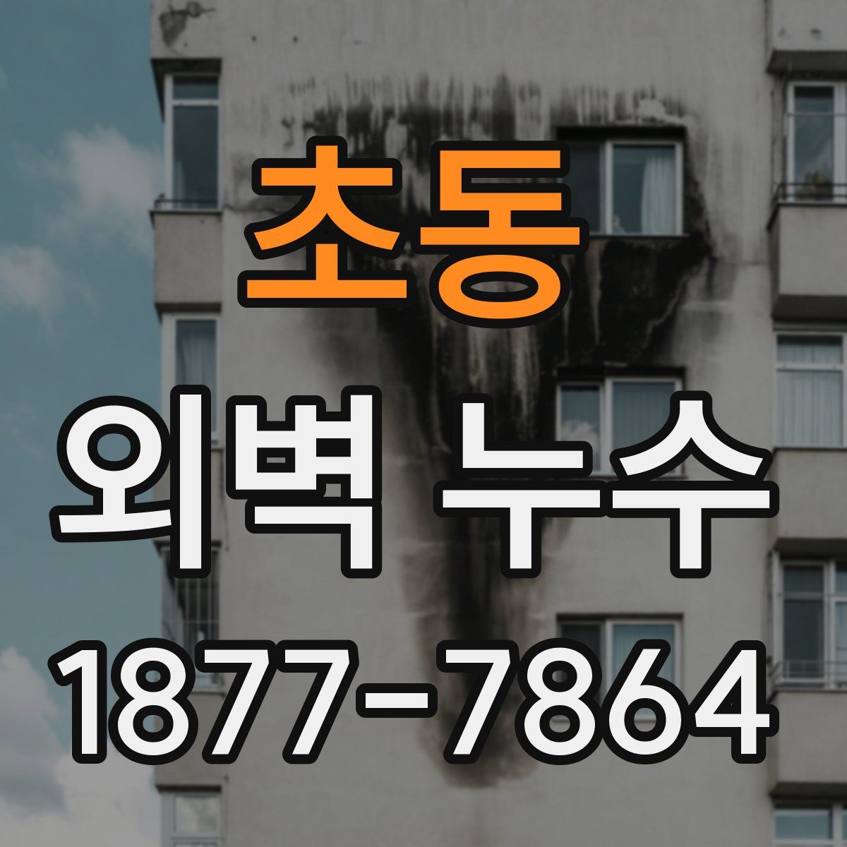 초동 외벽 누수