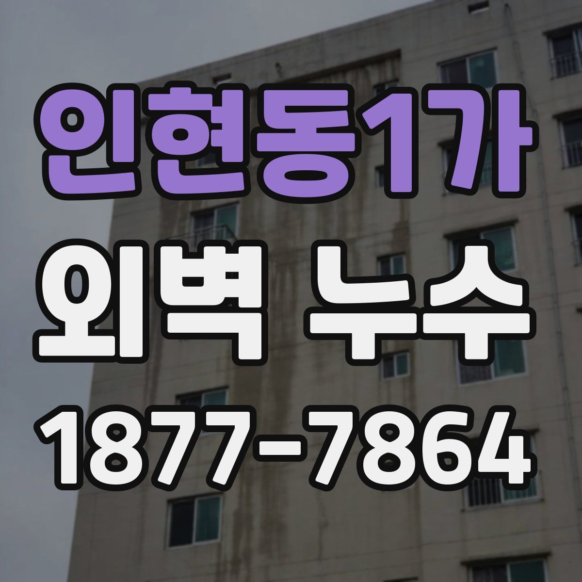 인현동1가 외벽 누수