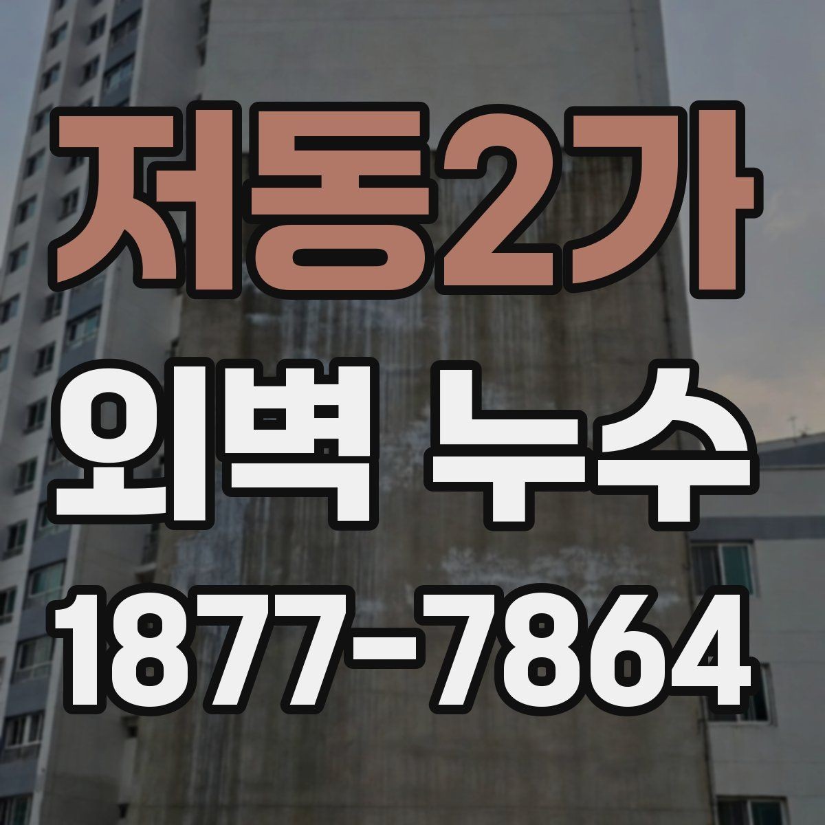 저동2가 외벽 누수 원인을 찾는 실무적 접근