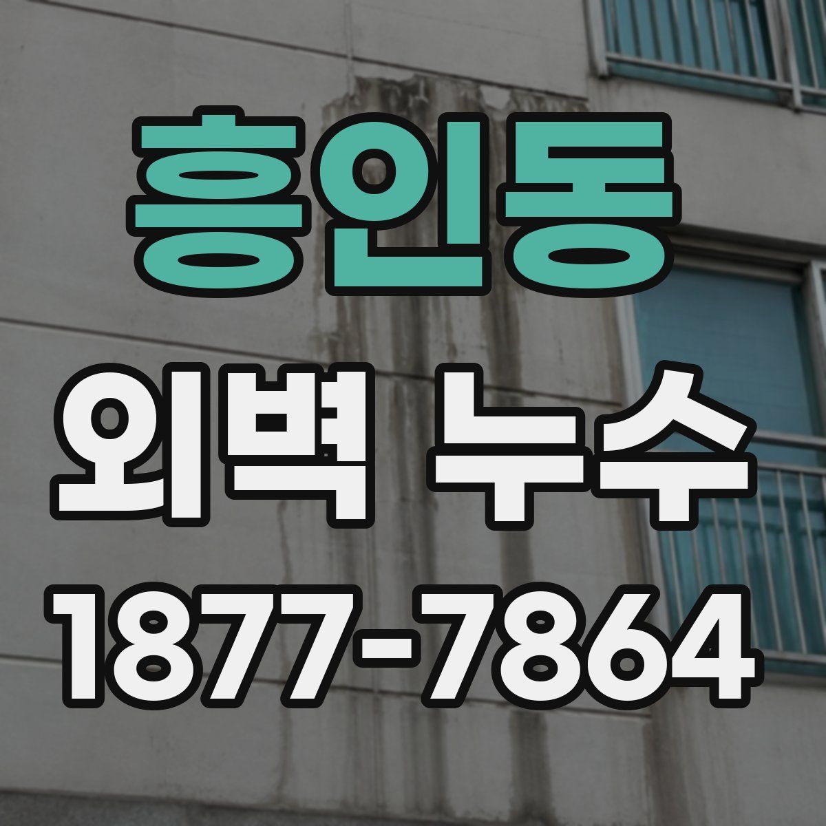 흥인동 외벽 누수