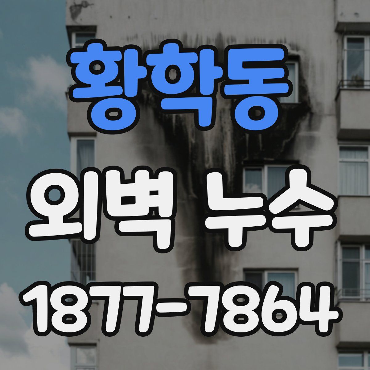 황학동 외벽 누수