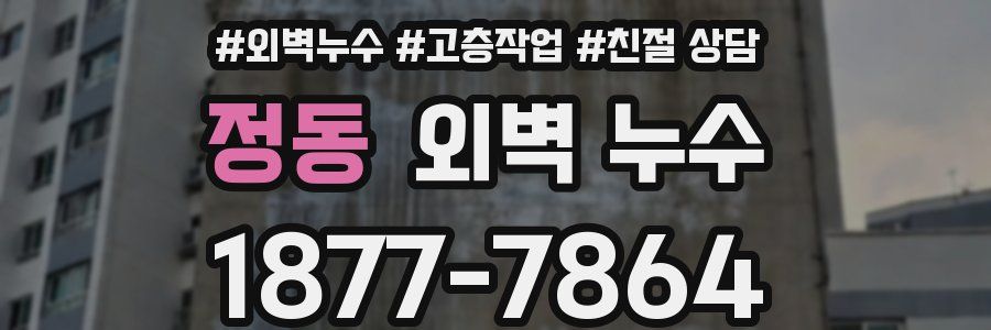 정동 외벽 누수