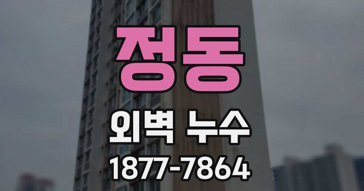 정동 외벽 누수