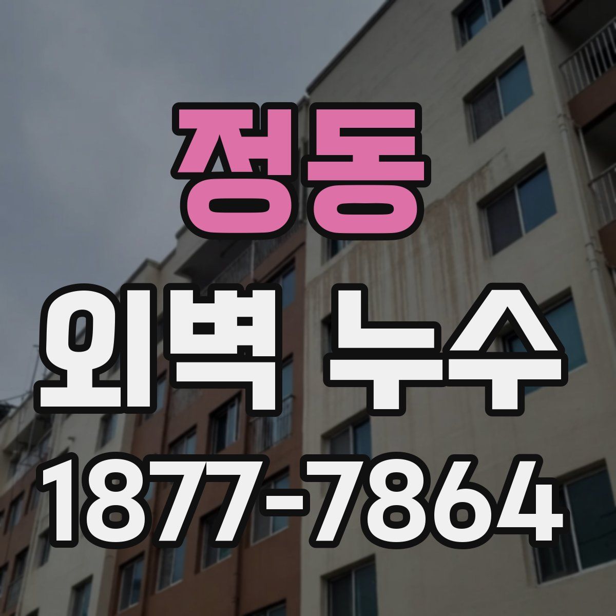 정동 외벽 누수