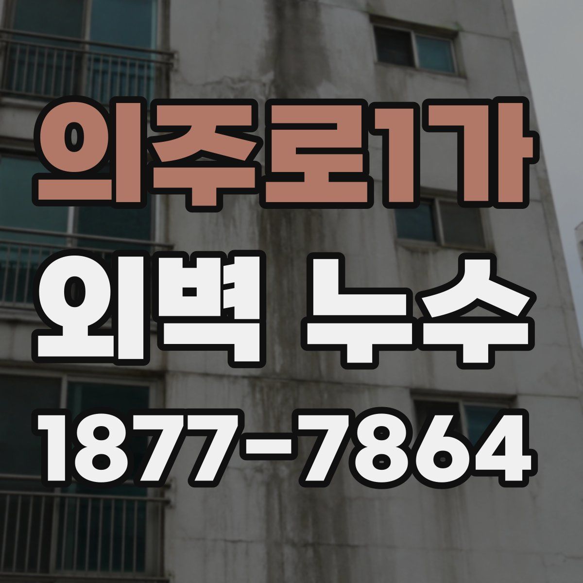 의주로1가 외벽 누수