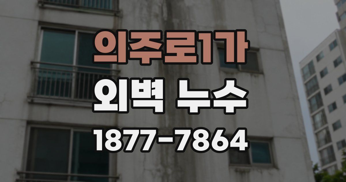 의주로1가 외벽 누수