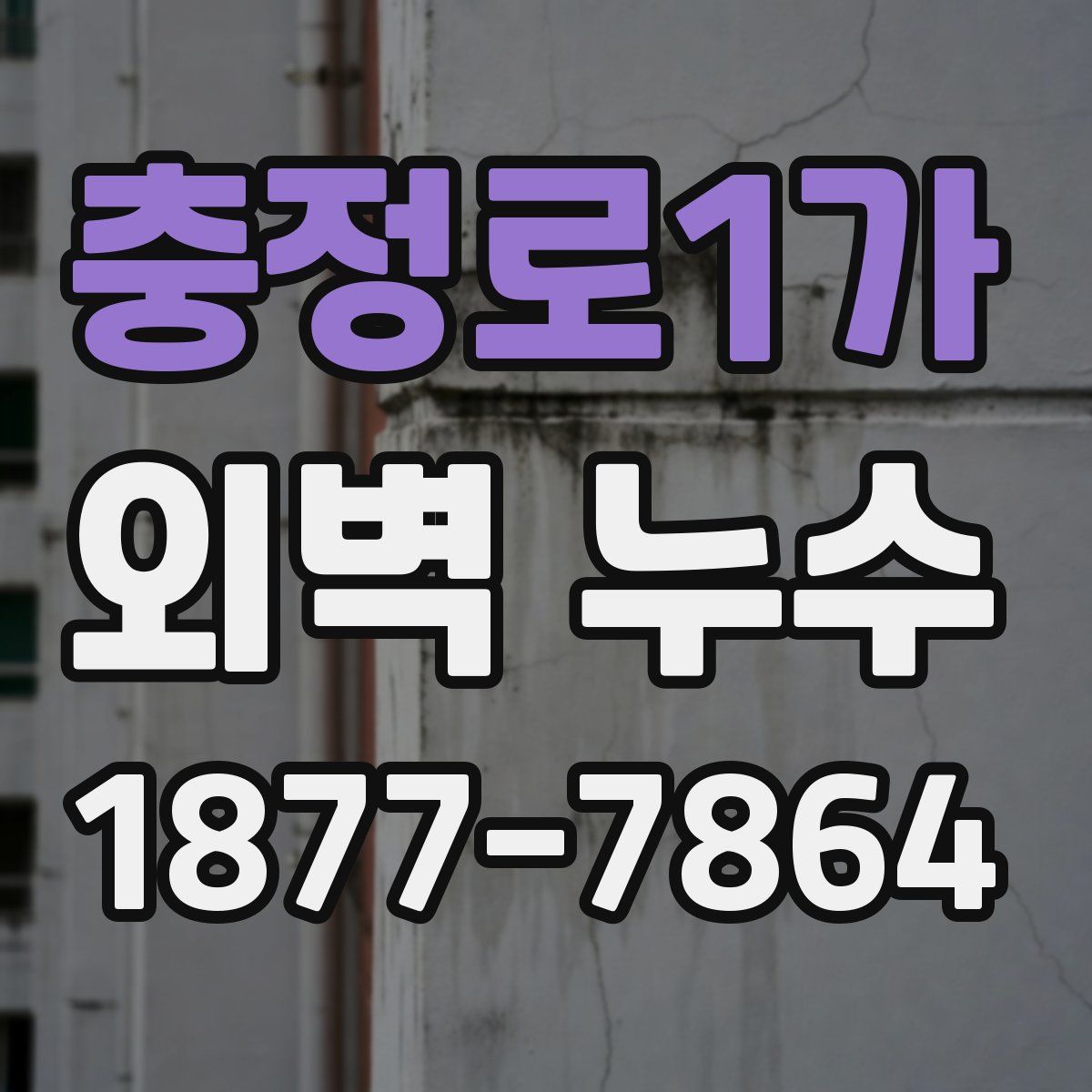 충정로1가 외벽 누수
