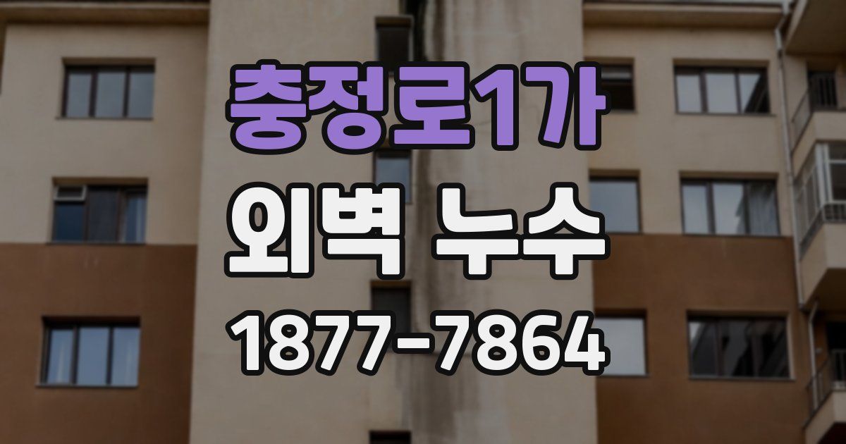 충정로1가 외벽 누수
