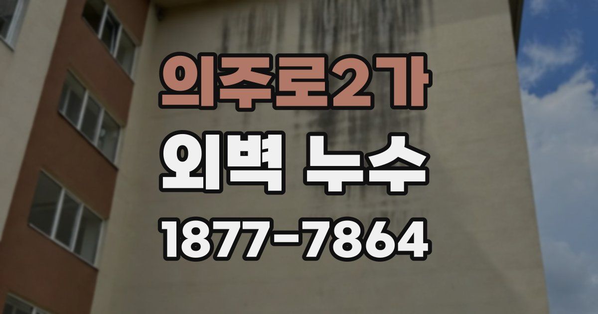 의주로2가 외벽 누수