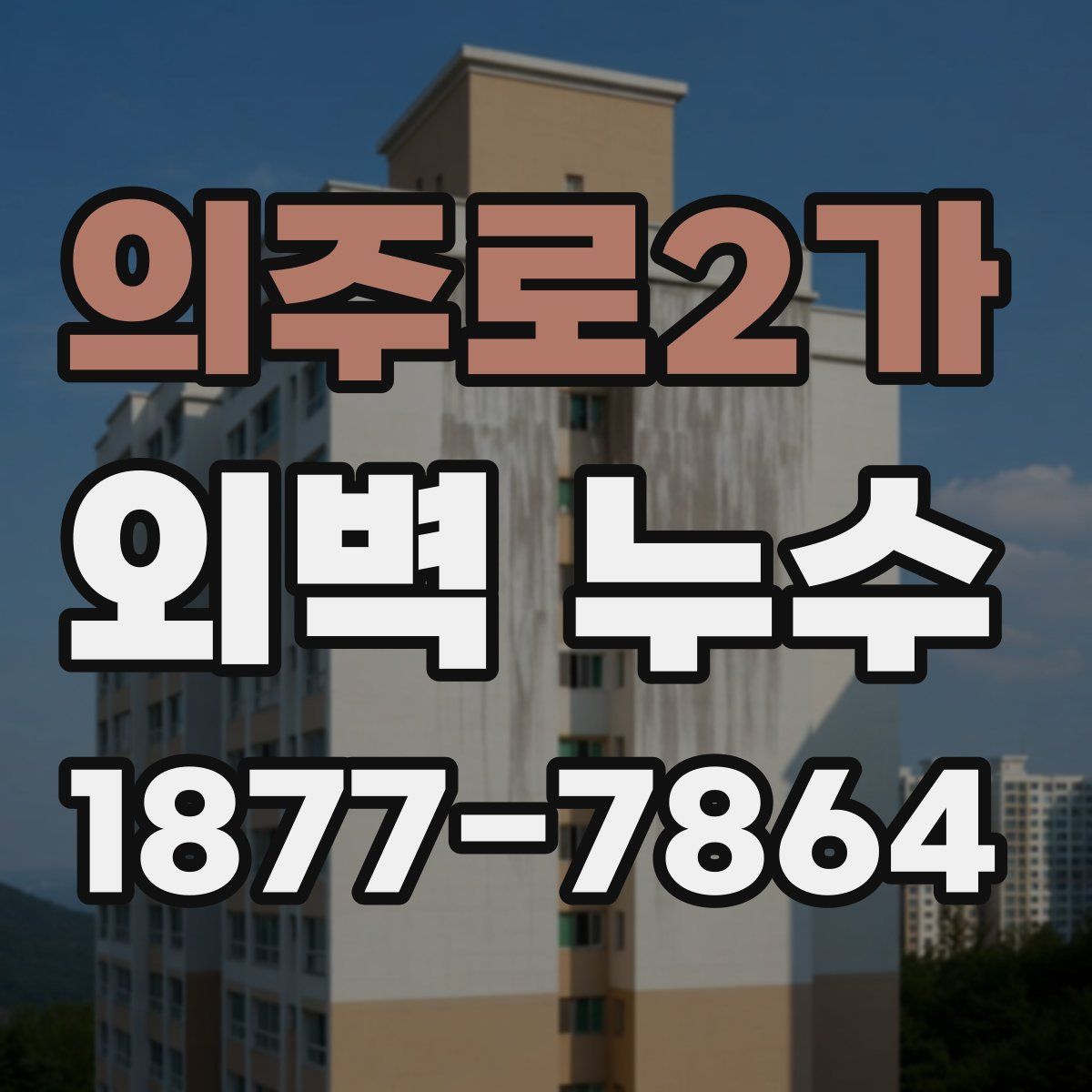 의주로2가 외벽 누수