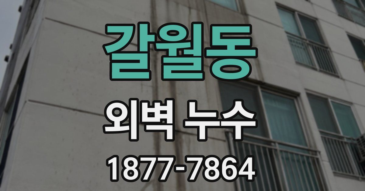 갈월동 외벽 누수
