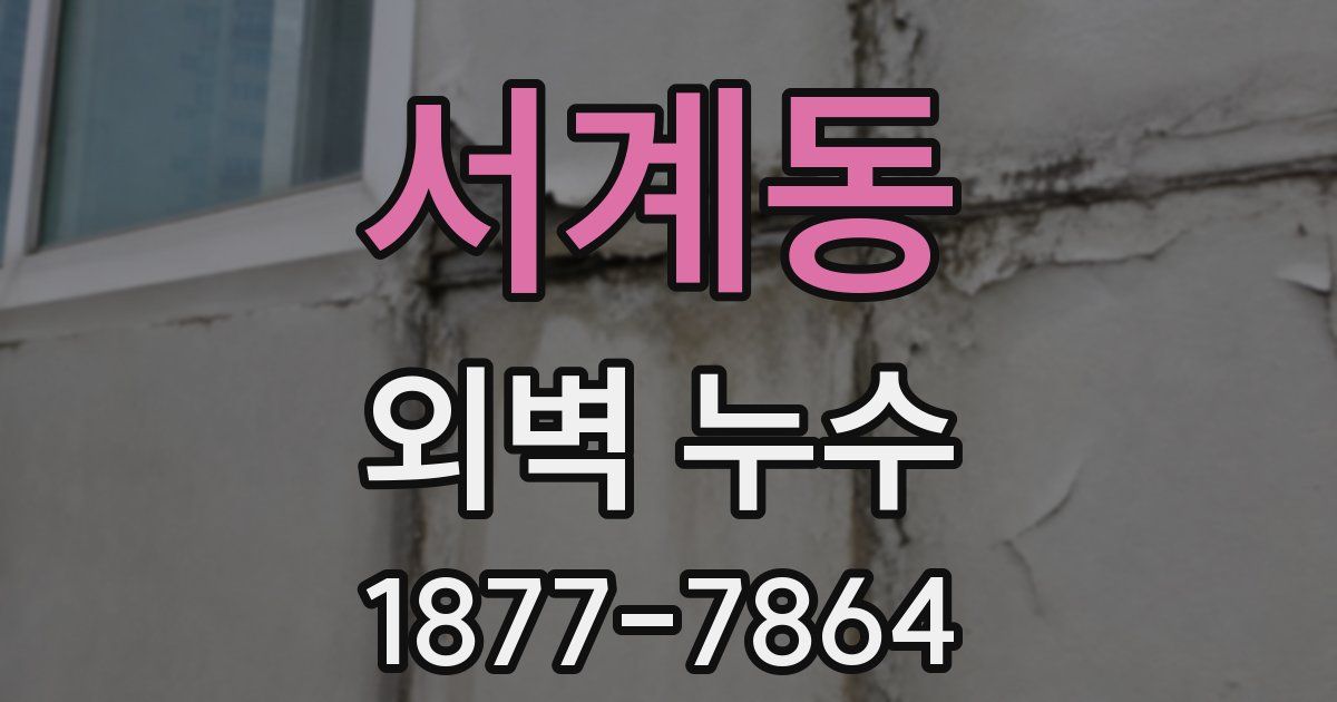 서계동 외벽 누수