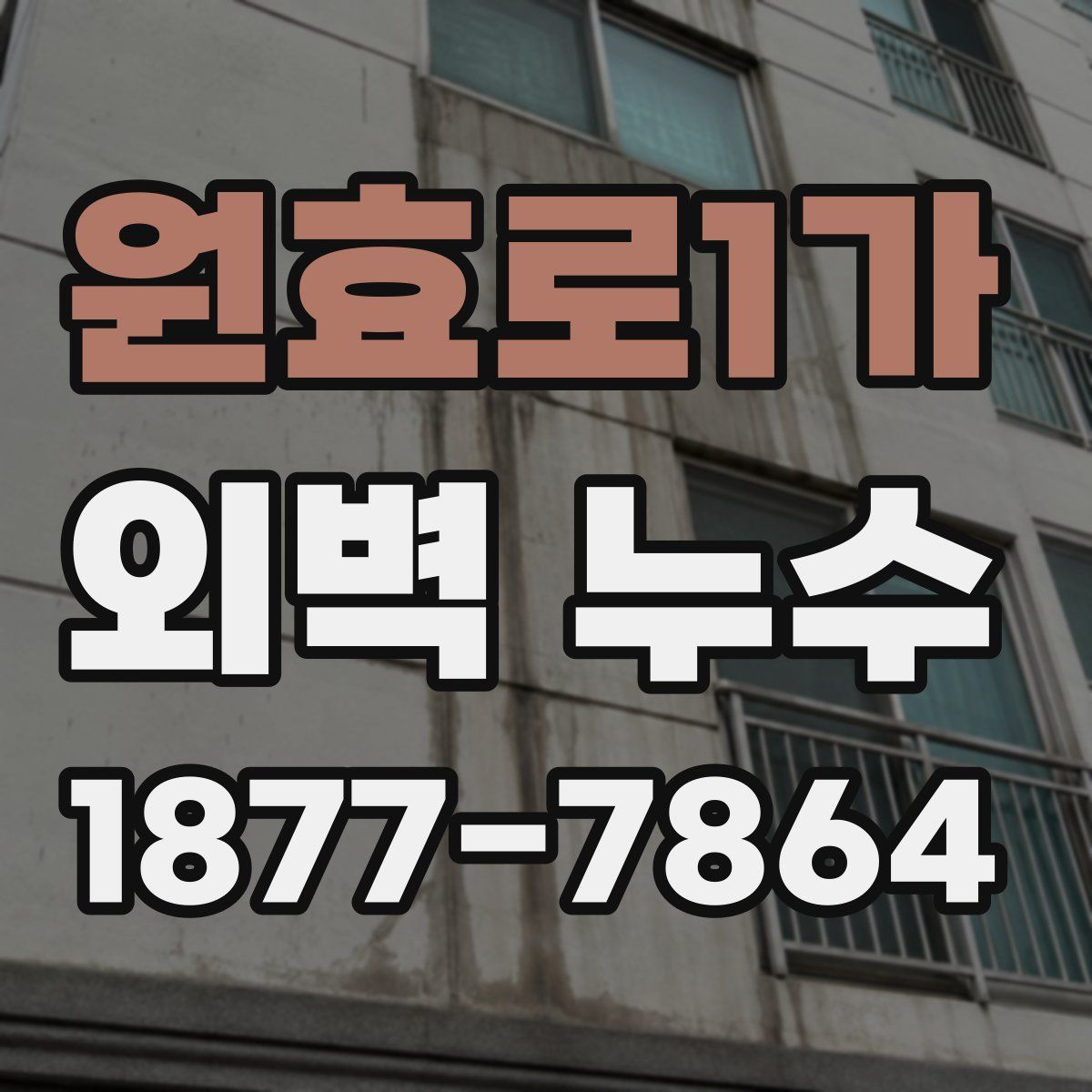 원효로1가 외벽 누수