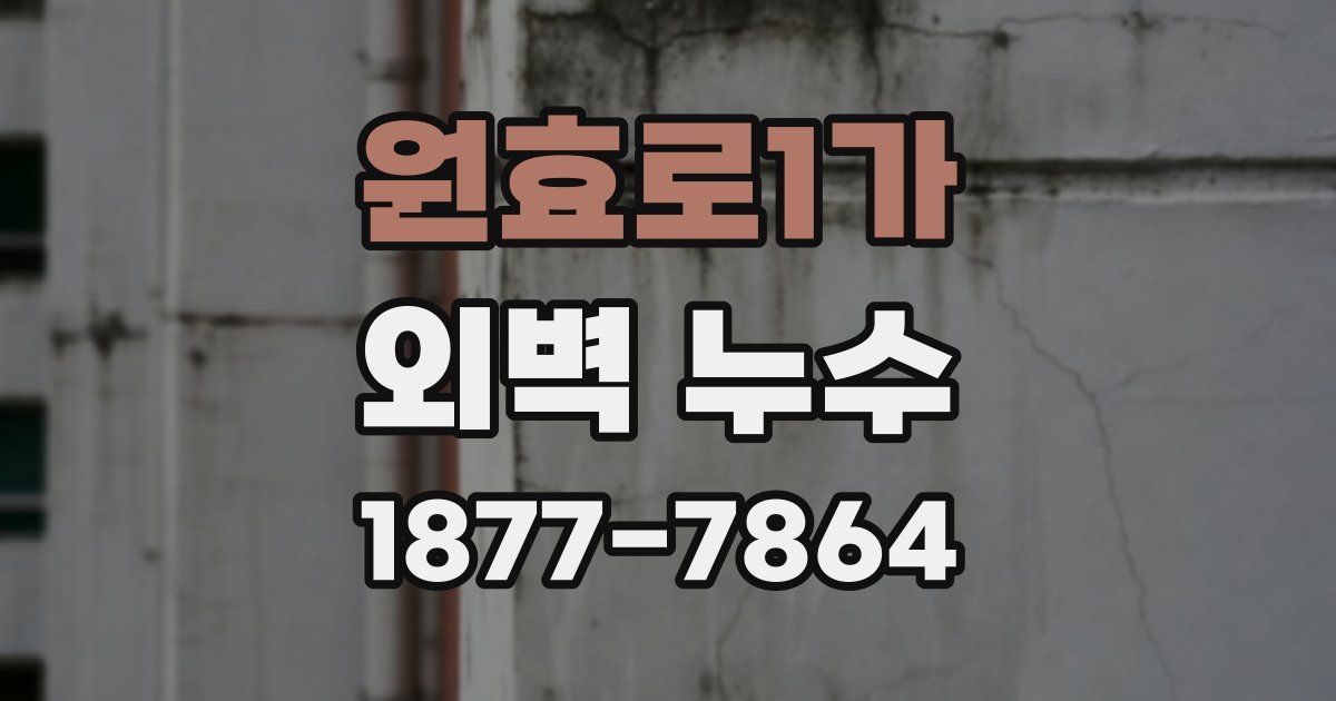 원효로1가 외벽 누수