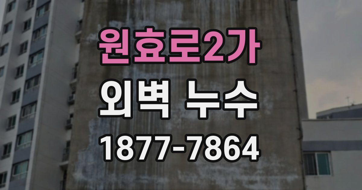 원효로2가 외벽 누수
