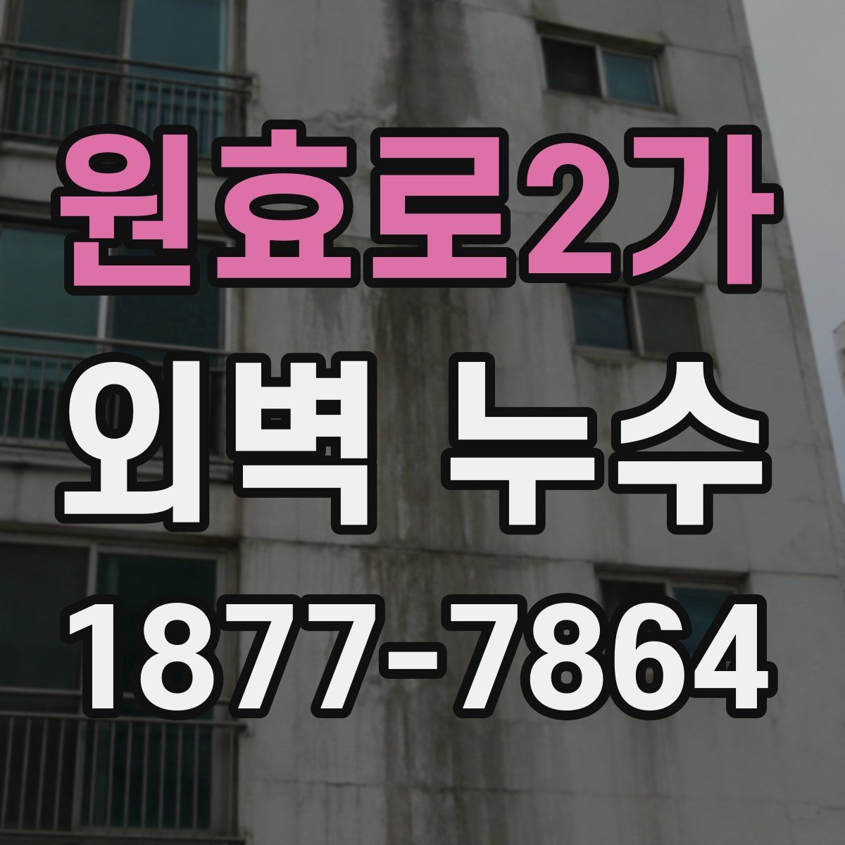 원효로2가 외벽 누수