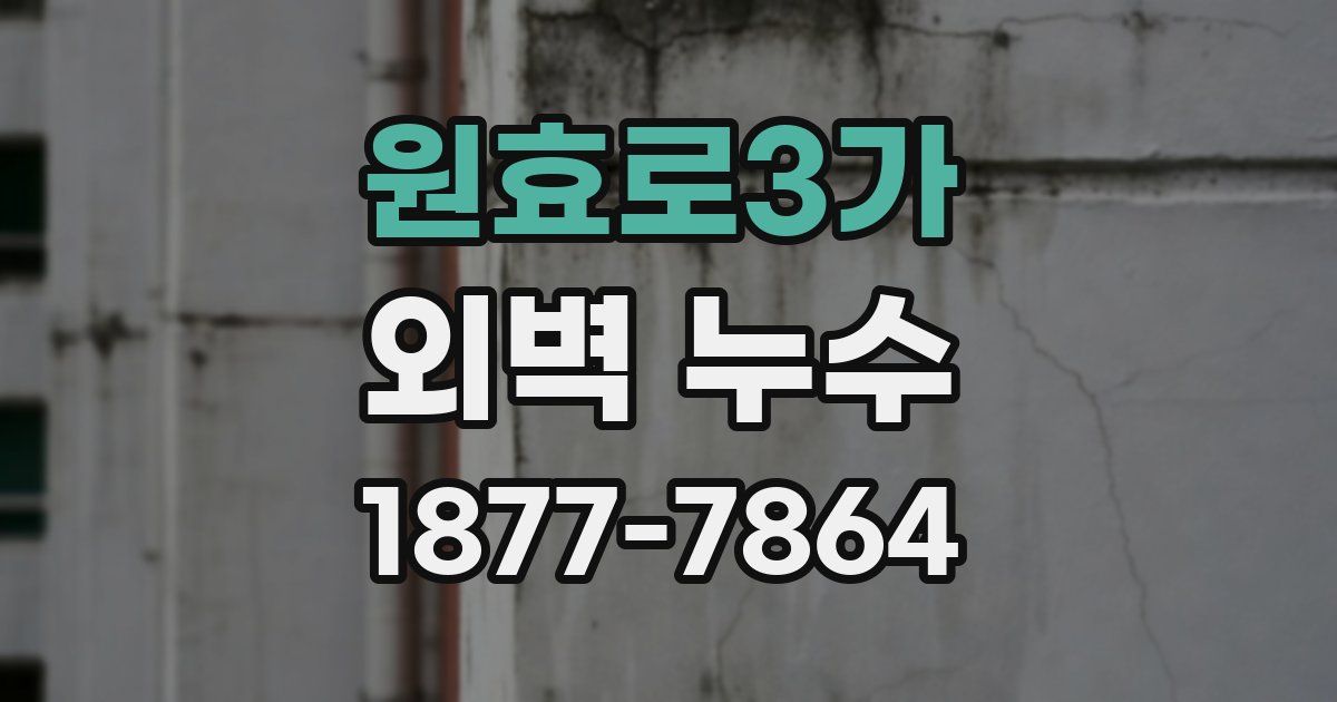 원효로3가 외벽 누수