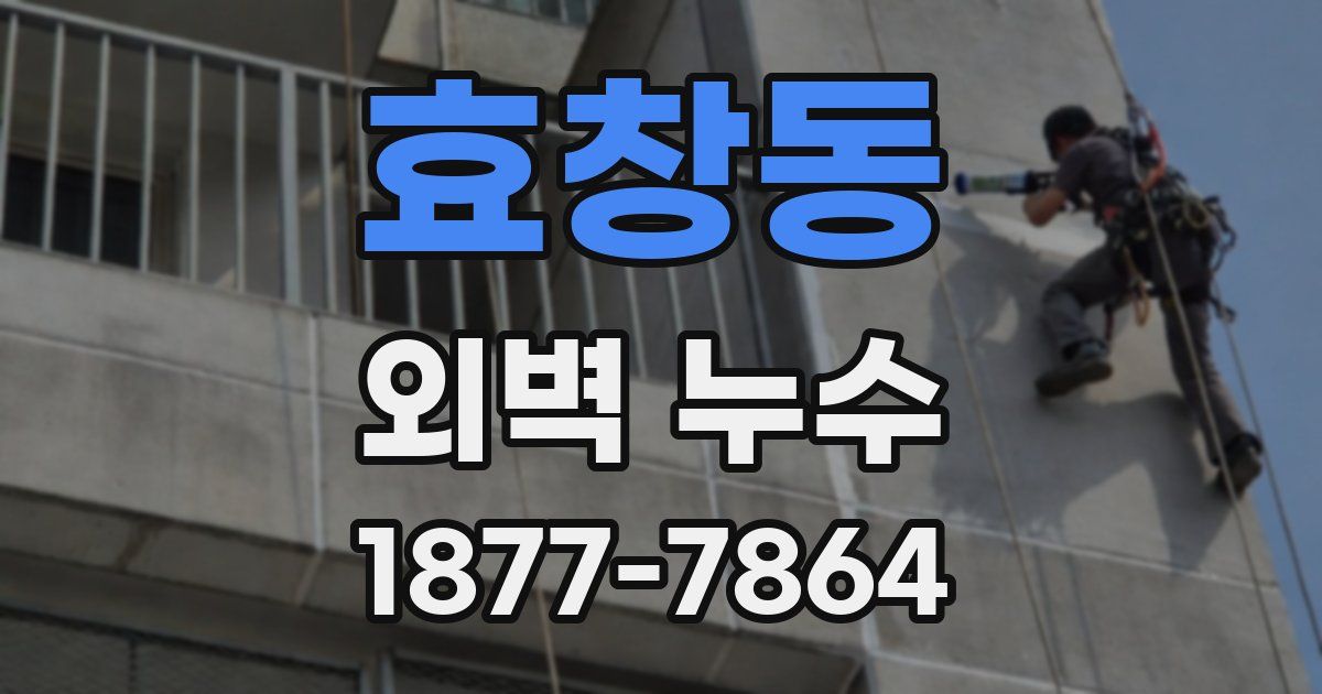 효창동 외벽 누수