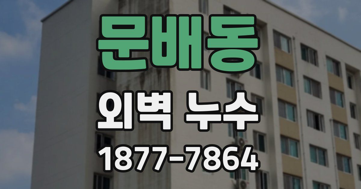 문배동 외벽 누수