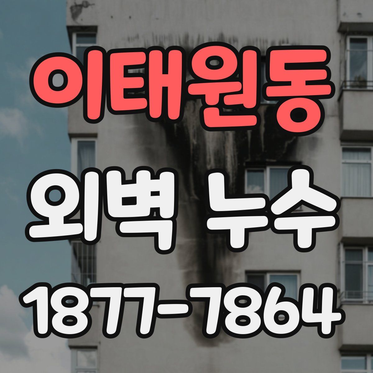 이태원동 외벽 누수