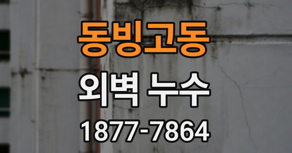 동빙고동 외벽 누수