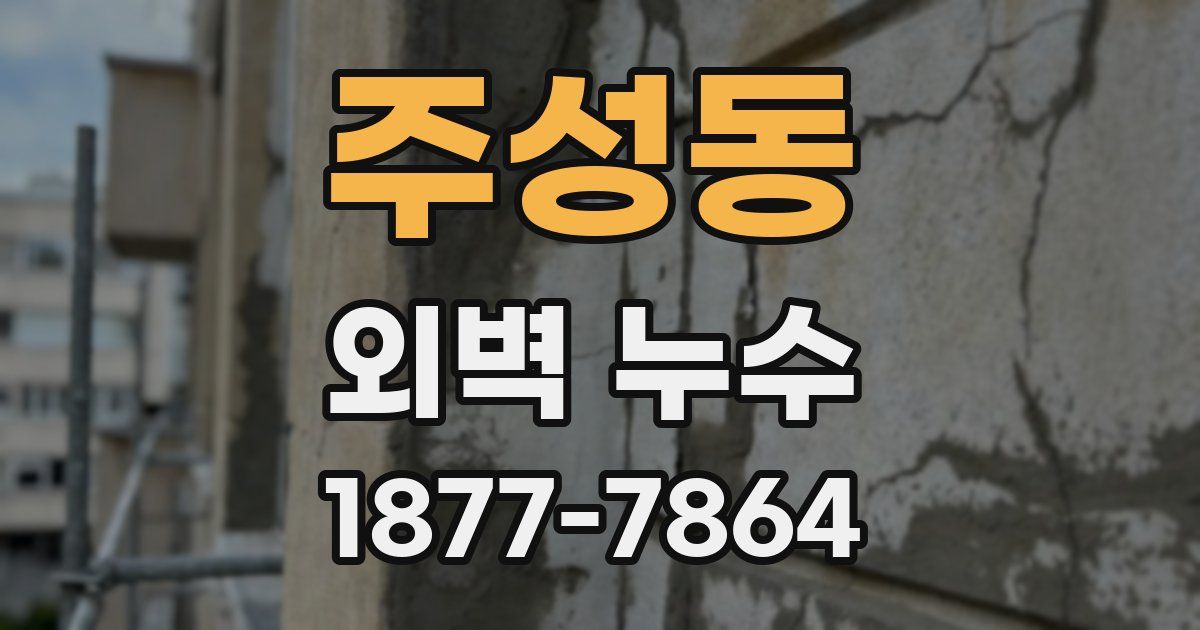 주성동 외벽 누수