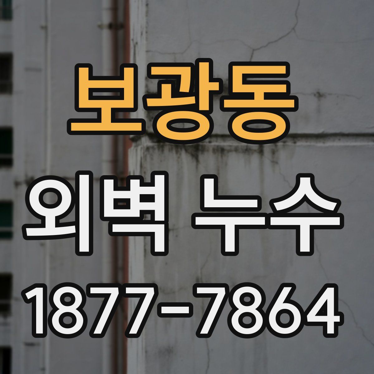보광동 외벽 누수