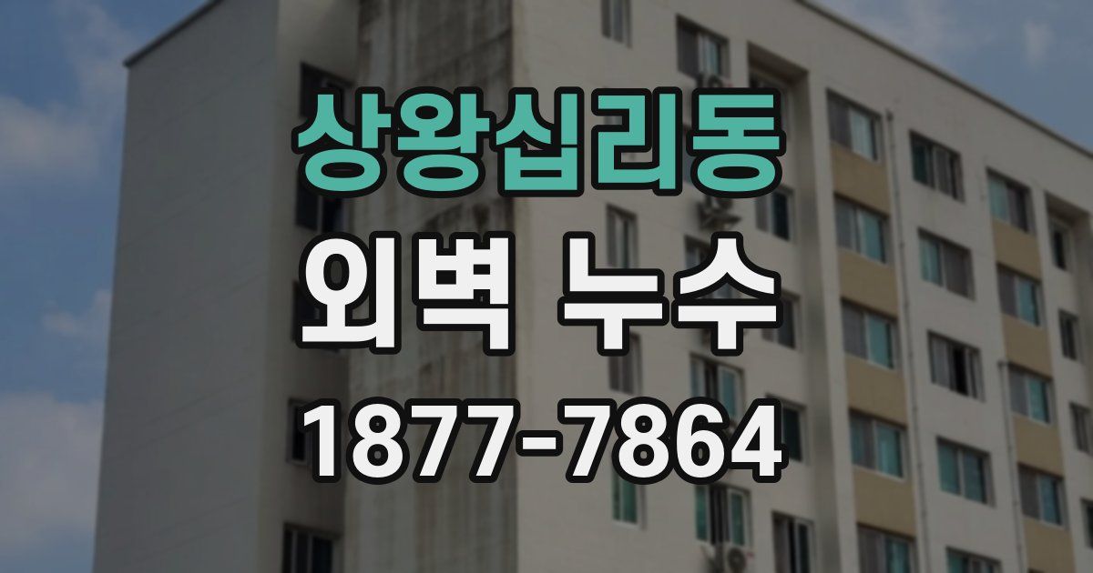 상왕십리동 외벽 누수