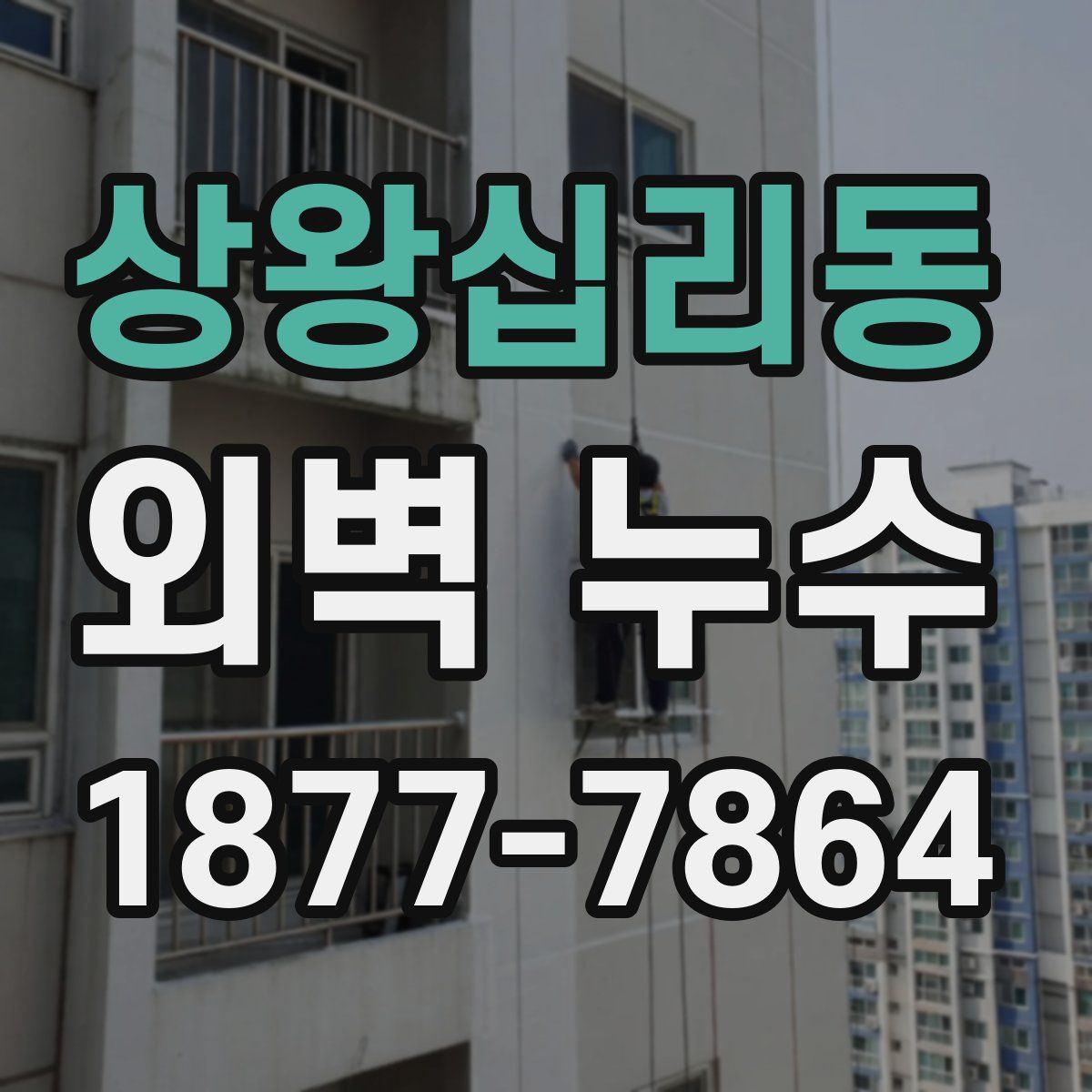 상왕십리동 외벽 누수