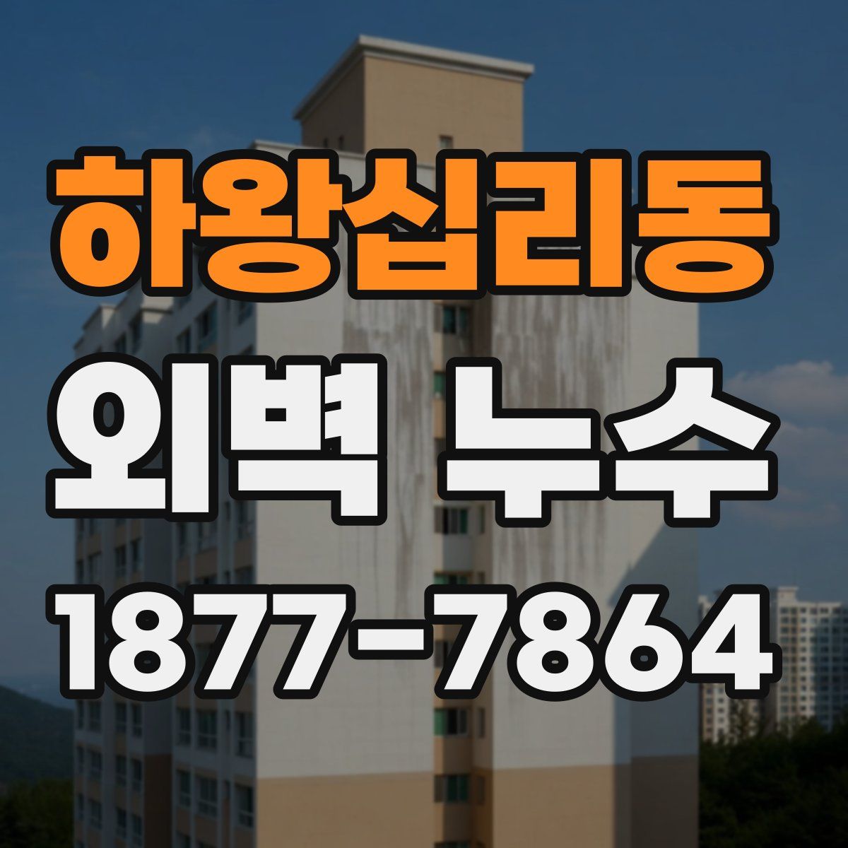 하왕십리동 외벽 누수