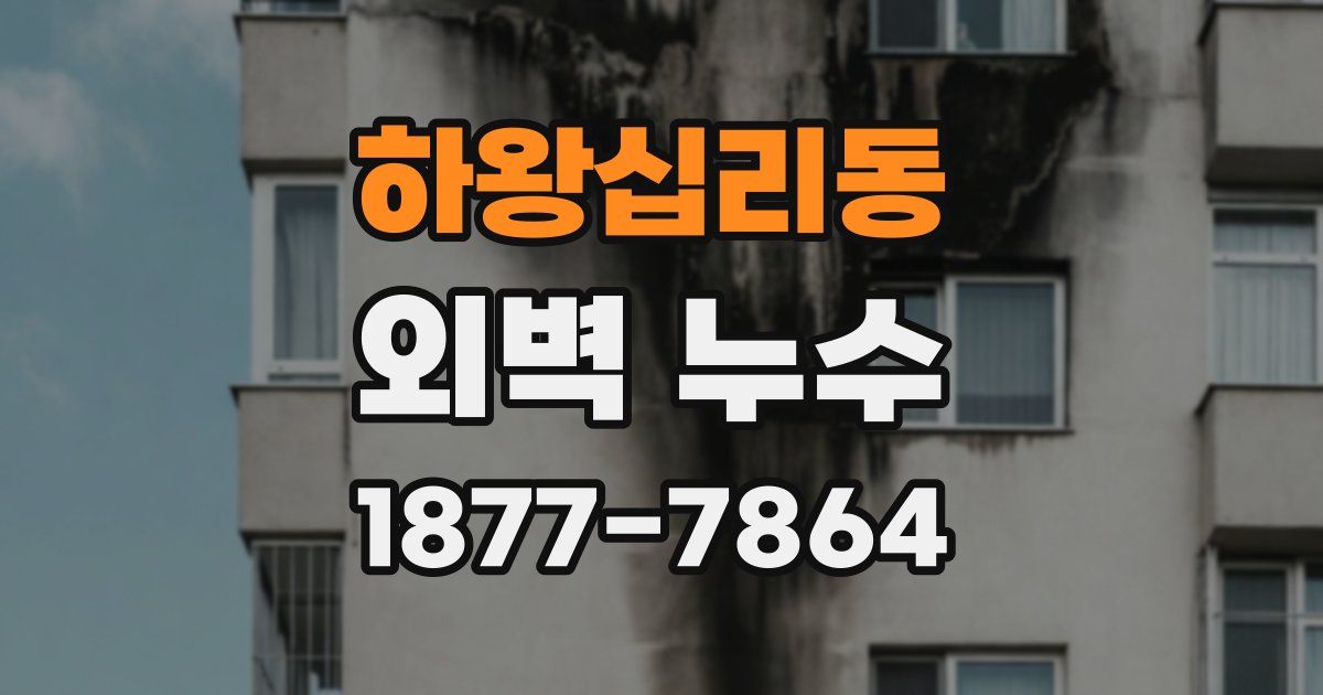 하왕십리동 외벽 누수