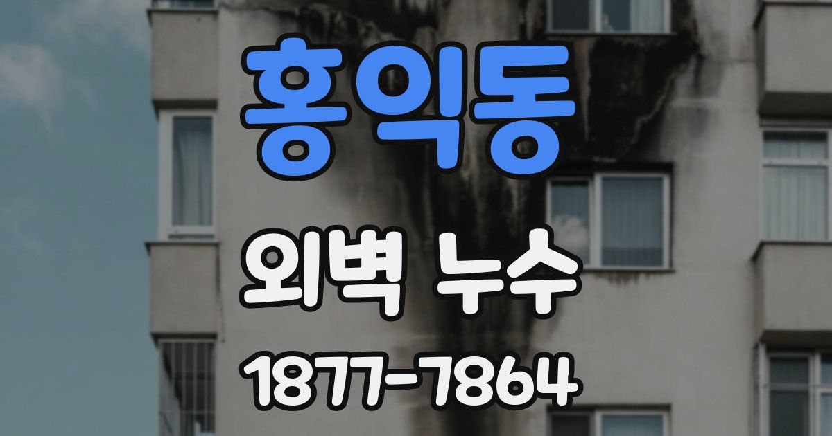 홍익동 외벽 누수